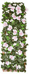Expanding Artificial Screen (Butterfly Orchid or Laurel Leaf) $39.99 @ ALDI