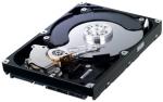 [Sold Out] $119.95 Samsung 1.5TB HD154UI Internal Hard Disk SATA2 32MB Cache @ PCMEAL.com.au