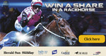 Win a 10% Share in a Racehorse Worth $16,000 or a $1,000 TAB Bet Voucher from The Herald & Weekly Times [VIC]