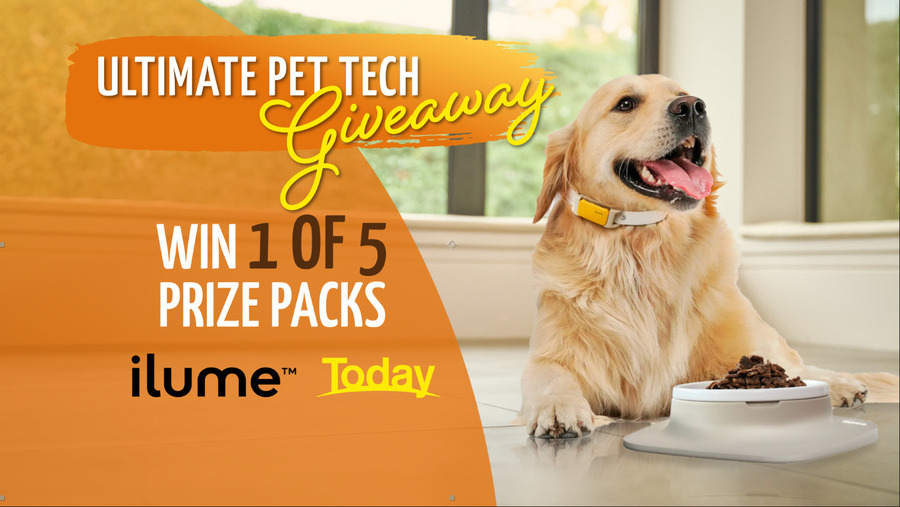 Win 1 of 5 Pet Tech Packages Worth $1,000 from Nine Entertainment ...