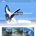 Win a Family Whale Watching Weekend Away Worth $545 or a Whale Watching Tour and Lunch from Capricorn Tourism [QLD Residents]