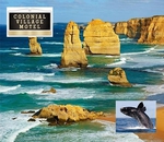 Whale Watching Getaway, Warrnambool: Only $189 for a 3 Day Escape + Dining Discounts + Attraction