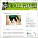 Free Feline Adoptions This Weekend - RSPCA - Yagoona (Sydney)