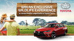Win a Wild Life Experience from Ten Play