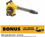 Dewalt 54v battery online bunnings