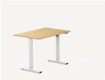 FlexiSpot E1 White Standing Desk Frame with Bamboo Texture 100x60cm Desktop $224.99 Delivered @ FlexiSpot