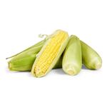 [QLD, SA, NSW] Australian Loose Sweet Corn $1 @ Woolworths
