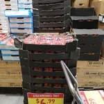 [NSW] 15 x Strawberry Punnets $6.99 @ Harris Farm (Pennant Hills)