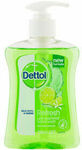 Dettol Hand Wash Healthy Touch Liquid Refresh Prevent Germs Spread 250ml $4.69 + Shipping (Free Shipping with 4) @ Amcal eBay