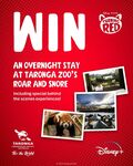 Win 1 of 6 Overnight Stays for 4 at Taronga Zoo Sydney’s Roar and Snore Worth $1,548 from Disney