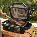 Win a Ninja Woodfire Electric BBQ Grill & Air Fryer from Food Envee