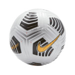 Nike Flight Pro Soccer Ball $100 Delivered @ Ultra Football