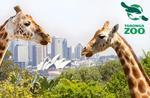 Sydney Taronga Zoo $14.95 for Kids & $29.95 for Adults - 14th of December - Special Christmas