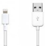 iPhone 5 Lightning to USB 2.0 Data Cable $0.99 Delivered (RRP $9, Limit 1 Per Customer.)