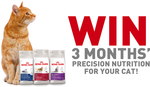 Win a Three Months' Supply of Cat Products from Royal Canin