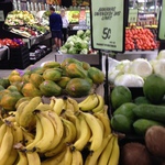 Banana 5c/kg @ Rochedale Markets (Rochedale, QLD)