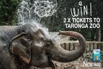 Win 1 of 5 Taronga Zoo Double Passes Worth $82.80 from Nexcare/3M Australia