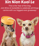 Win a Pet Bed plus a 6-Month Subscription to GoGetMe Worth $545 from BOco & GoGetMe