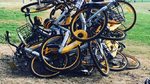[NSW] 2 Free to Keep Bikes to Existing Customers @ Reddy Go