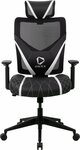 ONEX GE300 Ergonomic Gaming Chair $224.10 Delivered @ OZSALE