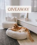 Win a James Lane Boucle Armchair + Luxury Boucle Dog Bed (Worth $1919) from SASH