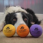 20% off All Sportspet Dog Toys (e.g. Hi Bounce Natural Rubber Balls - 3pk $11.96) + $10 Delivery ($0 with $60 Order) @ Sportspet