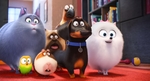 Win 1 of 15 Double Passes Worth $40 to The Secret Life of Pets from RACQ [QLD RACQ Members]