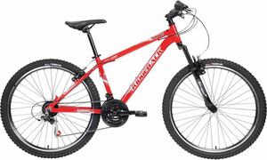 Ridgeback best sale 26 bike