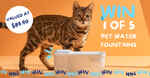 Win 1 of 5 Pet Water Fountains Worth $89.90 from Michupet Supplys