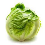 [NSW, QLD, ACT] Iceberg Lettuce $1.50 @ Harris Farm