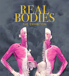 win one of 2  Family passes (4 tickets) to the Real Human Bodies Exhibition  @ Girl.com.au