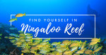 Win a Ningaloo Reef Escape for 2 Worth $5,000 from Hunter & Bligh