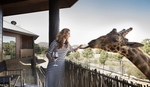 Win a Luxury Wildlife Experience for 2 Worth $2,850 from Vacations & Travel Mag/Jamala Wildlife Lodge