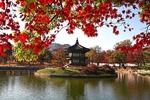 Last Minute: Melbourne to Seoul, South Korea from $236 Return on Malaysian Airlines, $239 on JAL Return, Oct-Nov via Flightscout