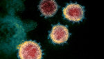 Free Access to Coronavirus/COVID-19 Articles @ The New York Times, Washington Post, The Atlantic