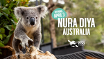 Win an Overnight Stay for 4 at Taronga's Wildlife Retreat Worth $1,600 from Taronga Zoo