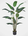 Vue Giant Birds of Paradise Artificial Plant 160cm $79.98 + Delivery ($0 Gold/Plat Member/ C&C/ in-Store/ $99 Order) @ Myer