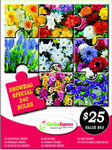 GardenExpress Show Bag - 240 Spring-Flowering Bulbs for $25 + $9.50 Delivery
