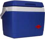 30% off Coolers - 10L Willow Cooler Only $10.50, Was $24 @ BIG W