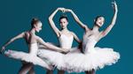 Win 1 of 100 Family Passes to Ballet Under The Stars from The Daily Telegraph