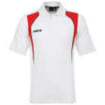 Zavvi: Man's Mitre Warren Polo Shirts, Was £25, Now £4.95 Free Postage. about $7.70 AUD expired!