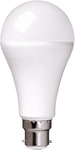 Connect SmartHome Smart 10W White Bulb B22 (4-Pack) CSH-B22W4PACK $4 + $8/$10 Delivery @ The Good Guys eBay