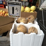 Rockmelons 1¢ @ Fayez's Fruit & Veg (Macedon Square, Templestowe Lower VIC)
