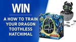 Win 1 of 3 How to Train Your Dragon - Hatching Toothless Hatchimals Worth $119 from Seven Network