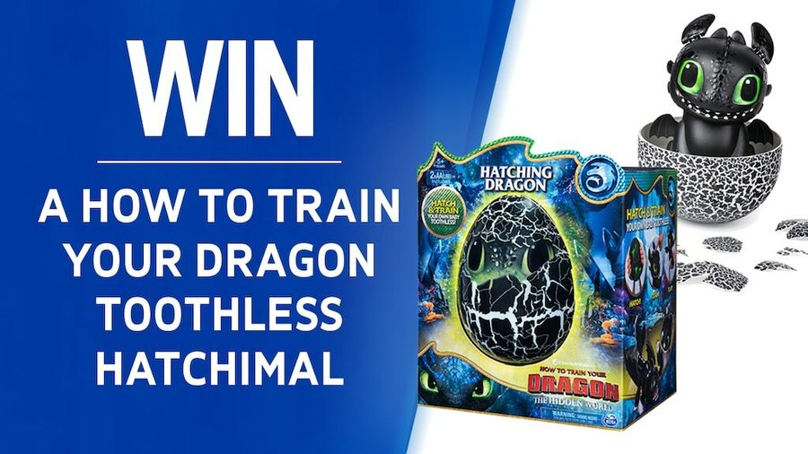 toothless hatchimal australia