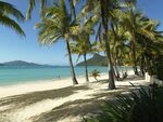 QANTAS: Full Service Flights from Sydney to/from Hamilton Island from $131 in Economy, $875 in Business @ Beat That Flight