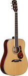 Alvarez Masterworks Dreadnought MD60BG Acoustic Guitar (Solid Wood) $657 Shipped @ Macron Music
