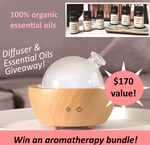 Win a Diffuser and 6 Essential Oils from Leslie Hedrick