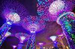 Singapore Airlines Direct to Singapore Ex DRW $513, PER $532, MEL $633, BNE $702, ADL $709, SYD $787 & More @ Beat That Flight
