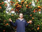 Fresh Citrus Direct Free Shipping Eg 10kg Box of Juicing Oranges $21 @ Farmhouse Direct [Excl. TAS/NT/WA]
